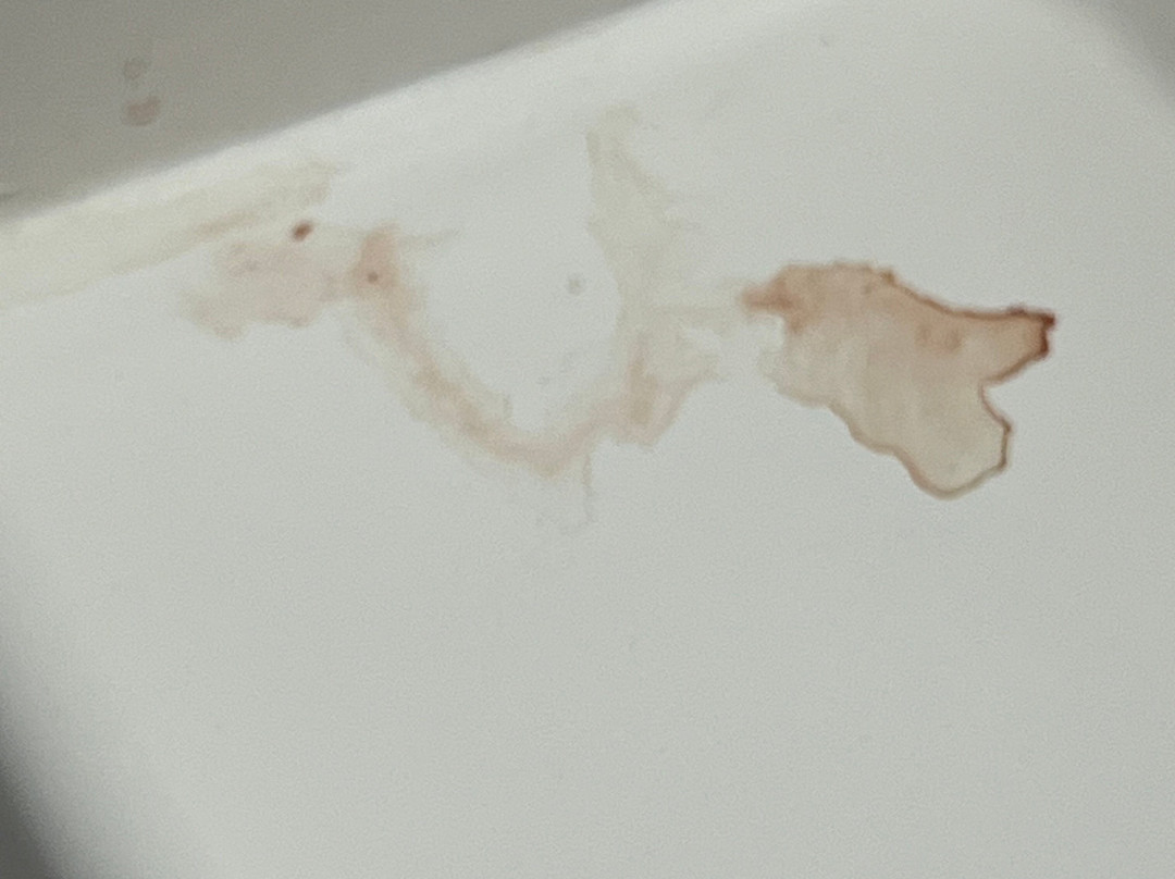 Best Western Plus Renton Inn主图