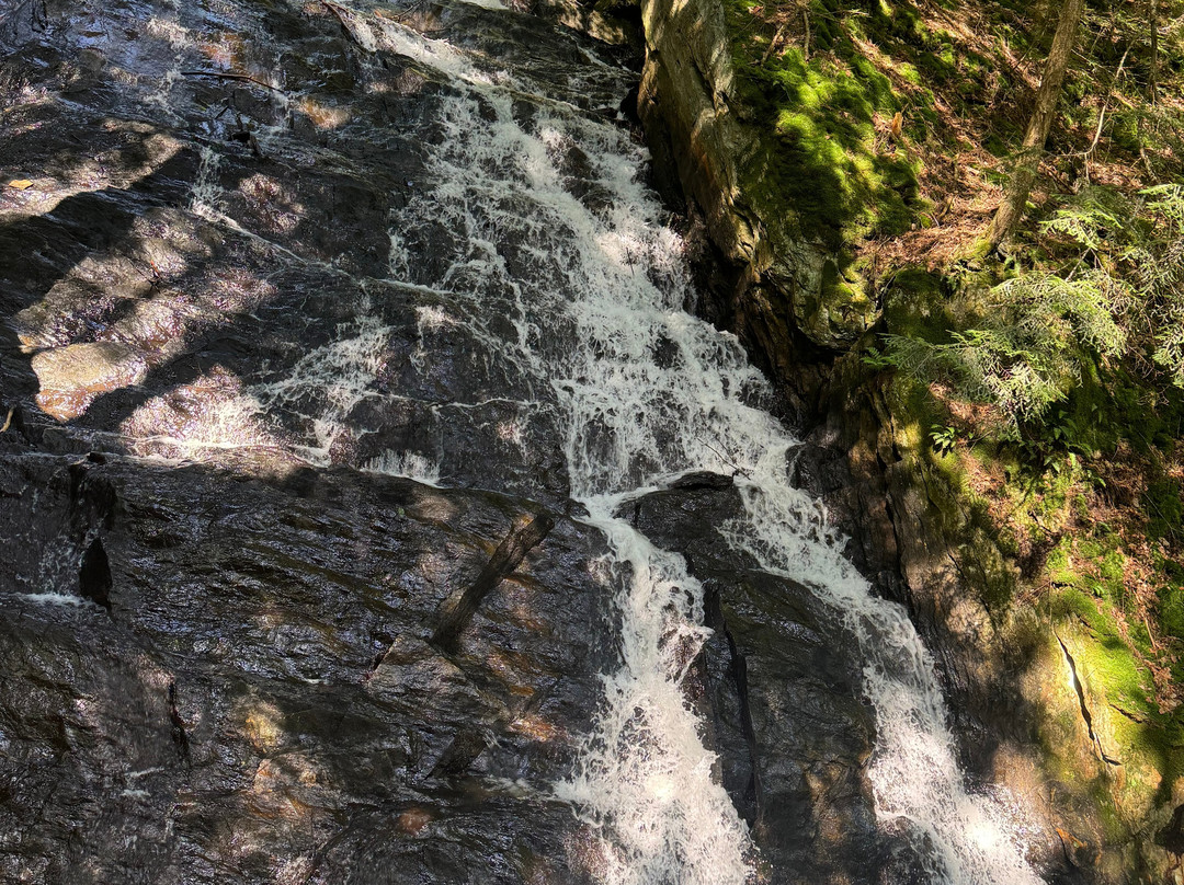 Thundering Brook Falls Trail-基灵顿必去景点