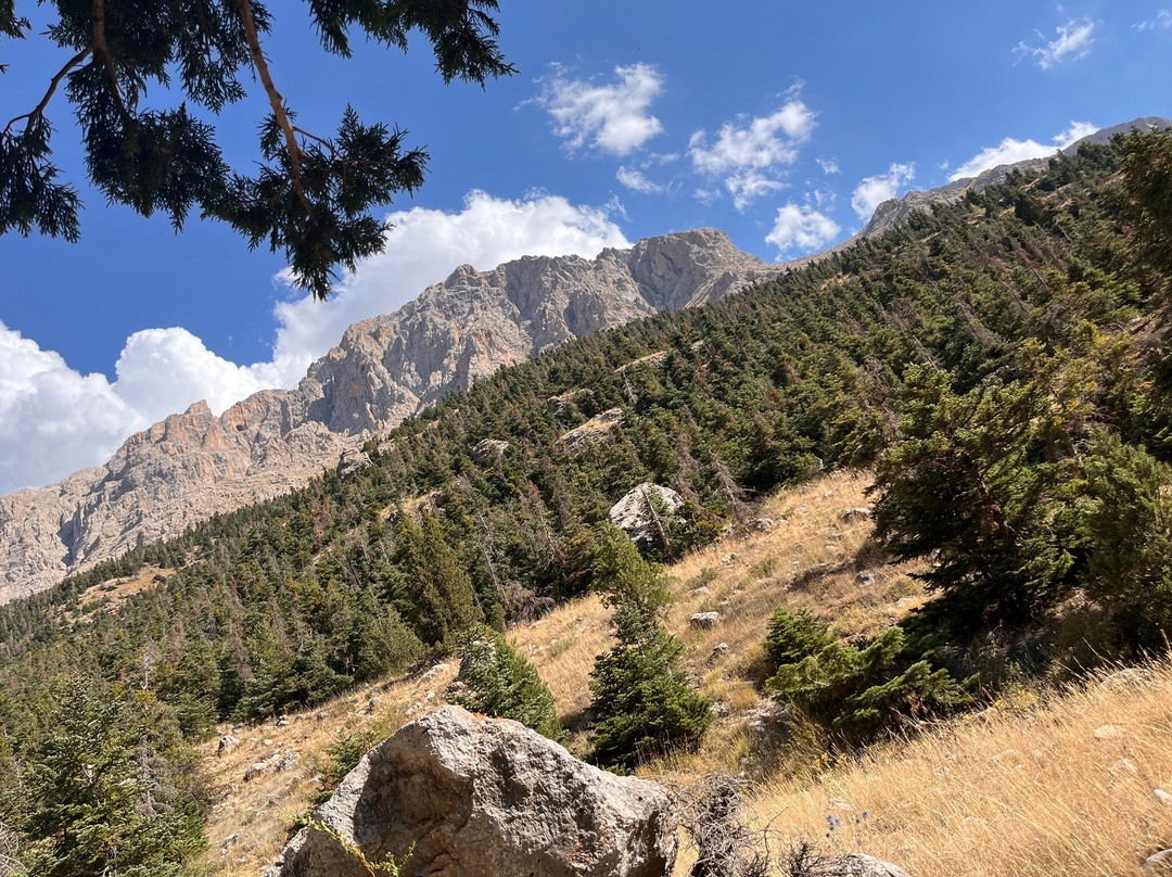 Kazıklıali Kanyonu景点图片