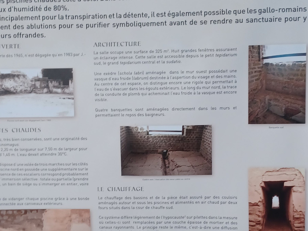 Cassinomagus - parc archéologique景点图片