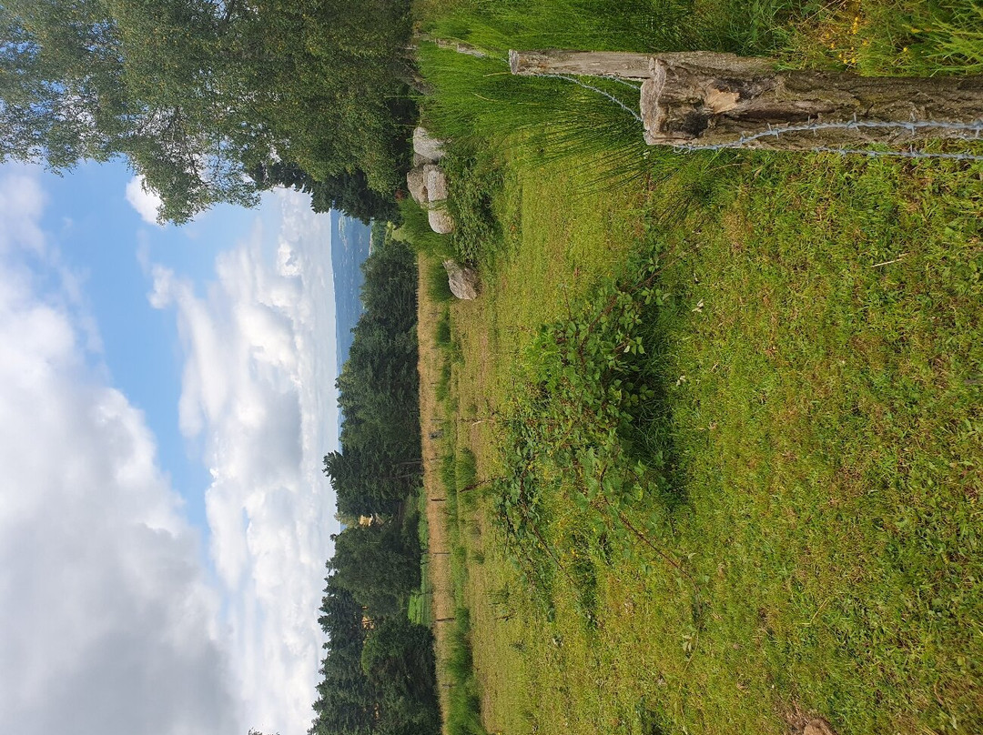 Les ânes du petit château du Villard景点图片