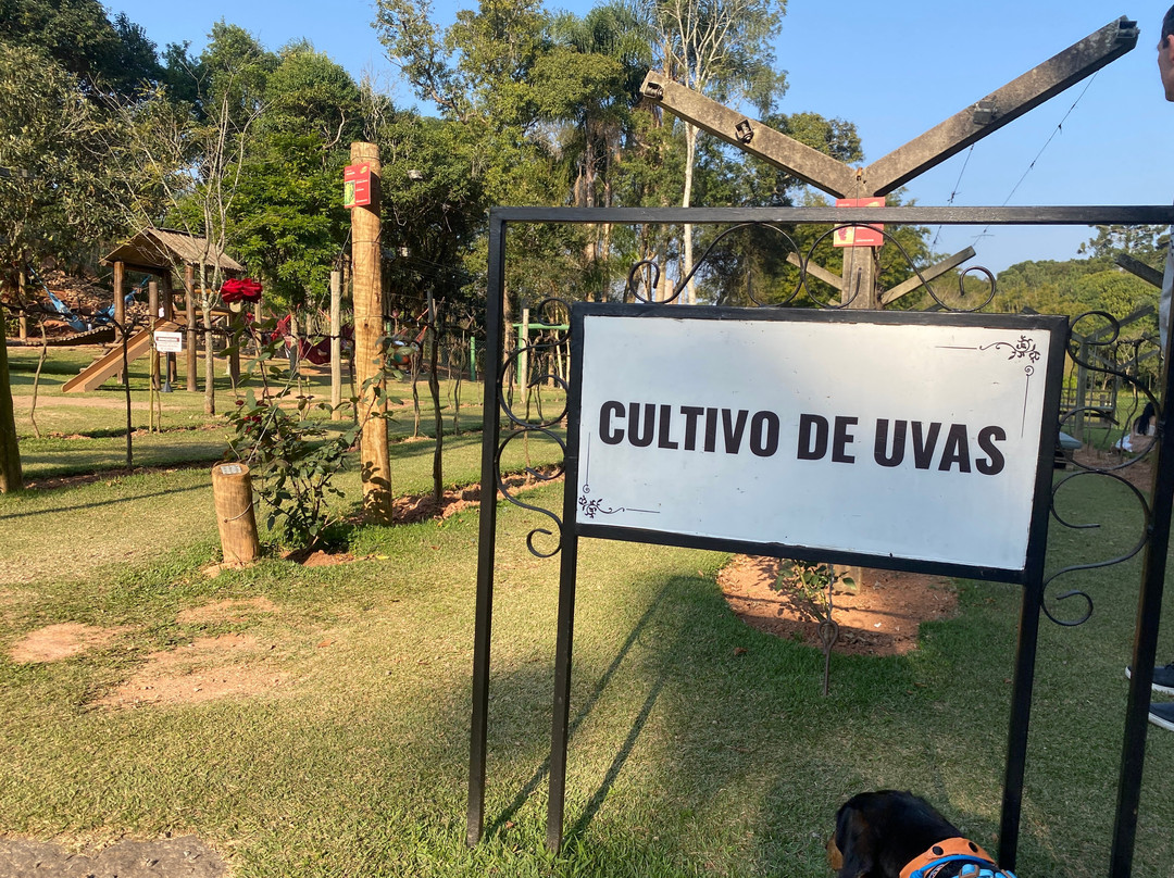 Vinícola Canguera-Sao Roque必去景点