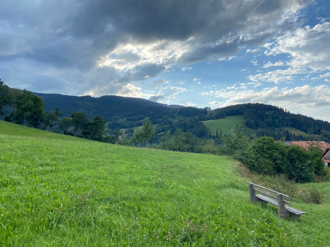 Kirnermarteshof主图