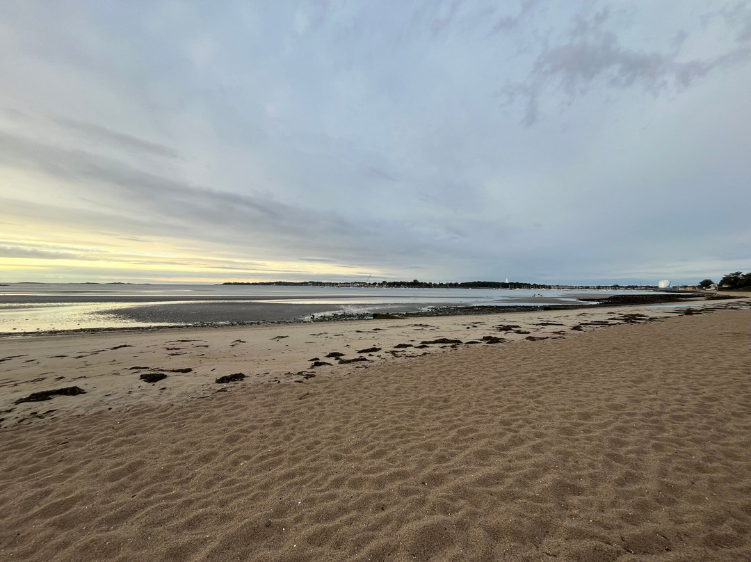 Dane Street Beach景点图片