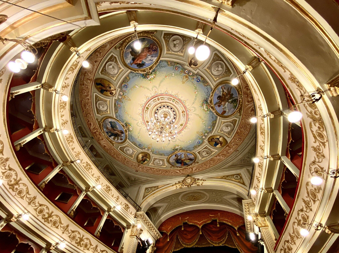 Teatro Giuseppe Verdi景点图片