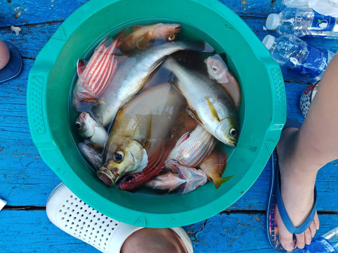 FishingFeel-岘港必去景点