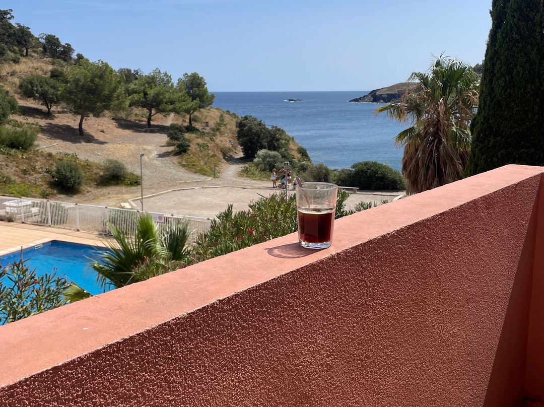 Lagrange Grand Bleu Vacances – Résidence Le Village des Aloès主图