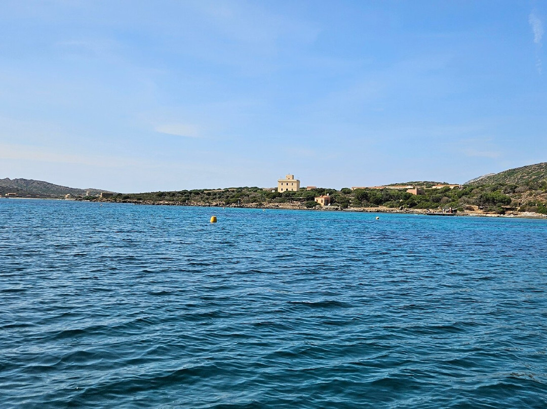 Pesca Turismo Asinara Orsa Maggiore-斯廷蒂诺必去景点