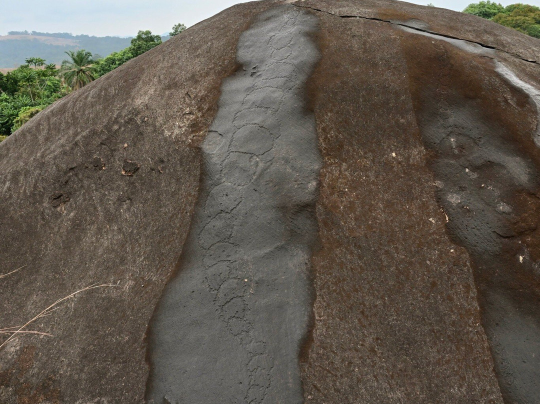 洛佩生态系统与文化遗迹景观-Lope Wildlife Reserve必去景点