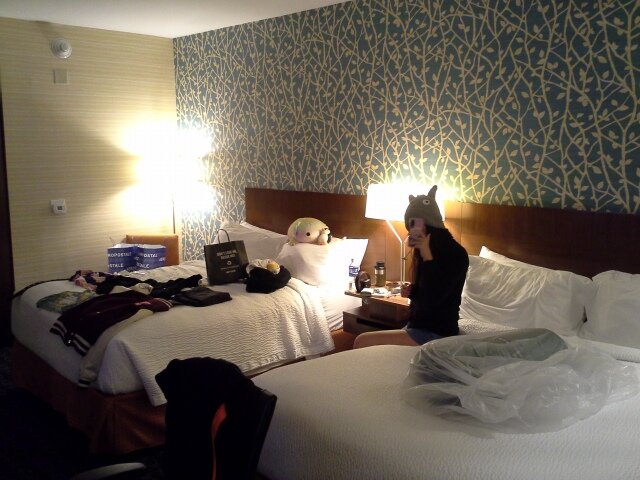 Fairfield Inn & Suites Niagara Falls-客卧