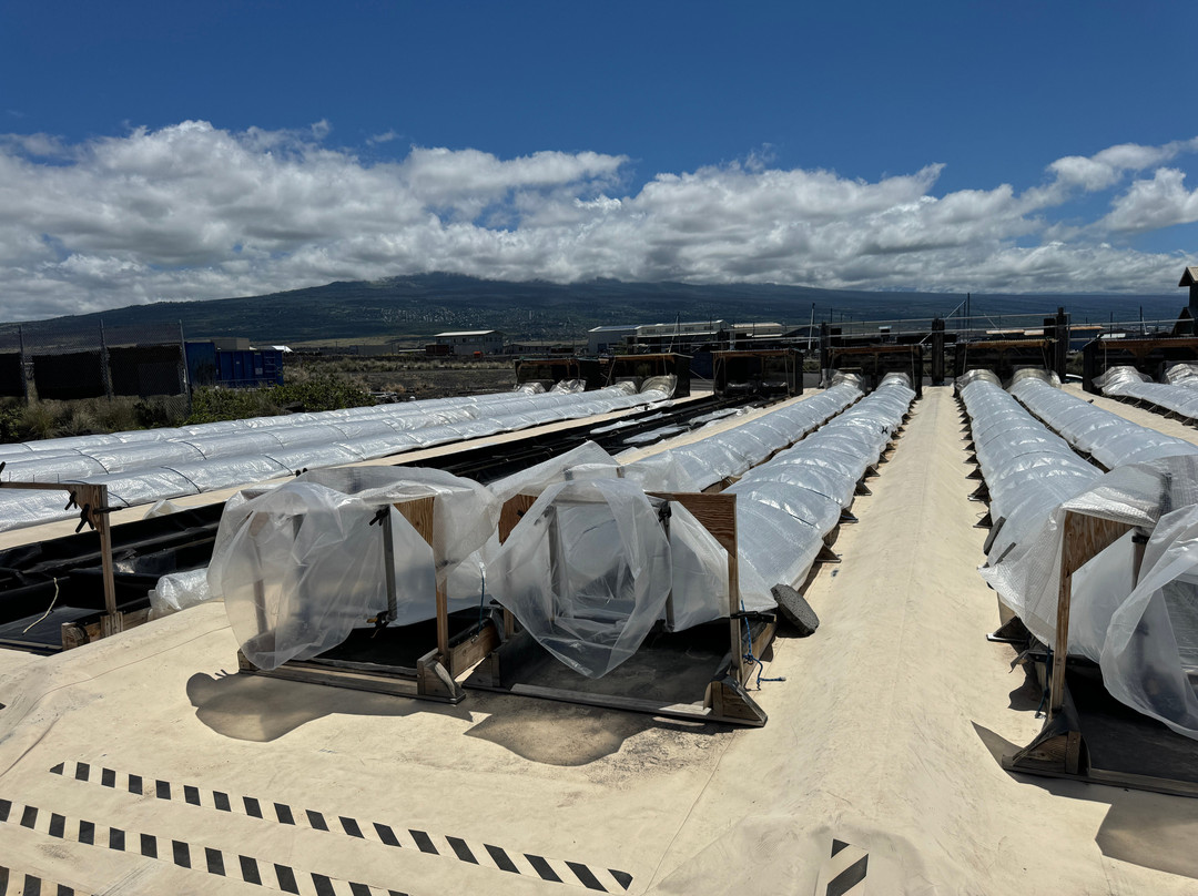 Kona Salt Farm-凯鲁瓦-柯纳必去景点