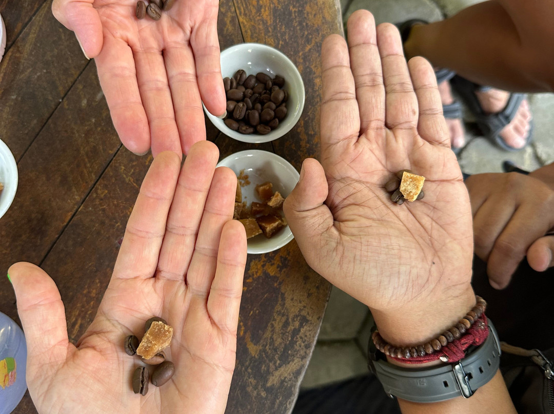 Java Bali Trips景点图片