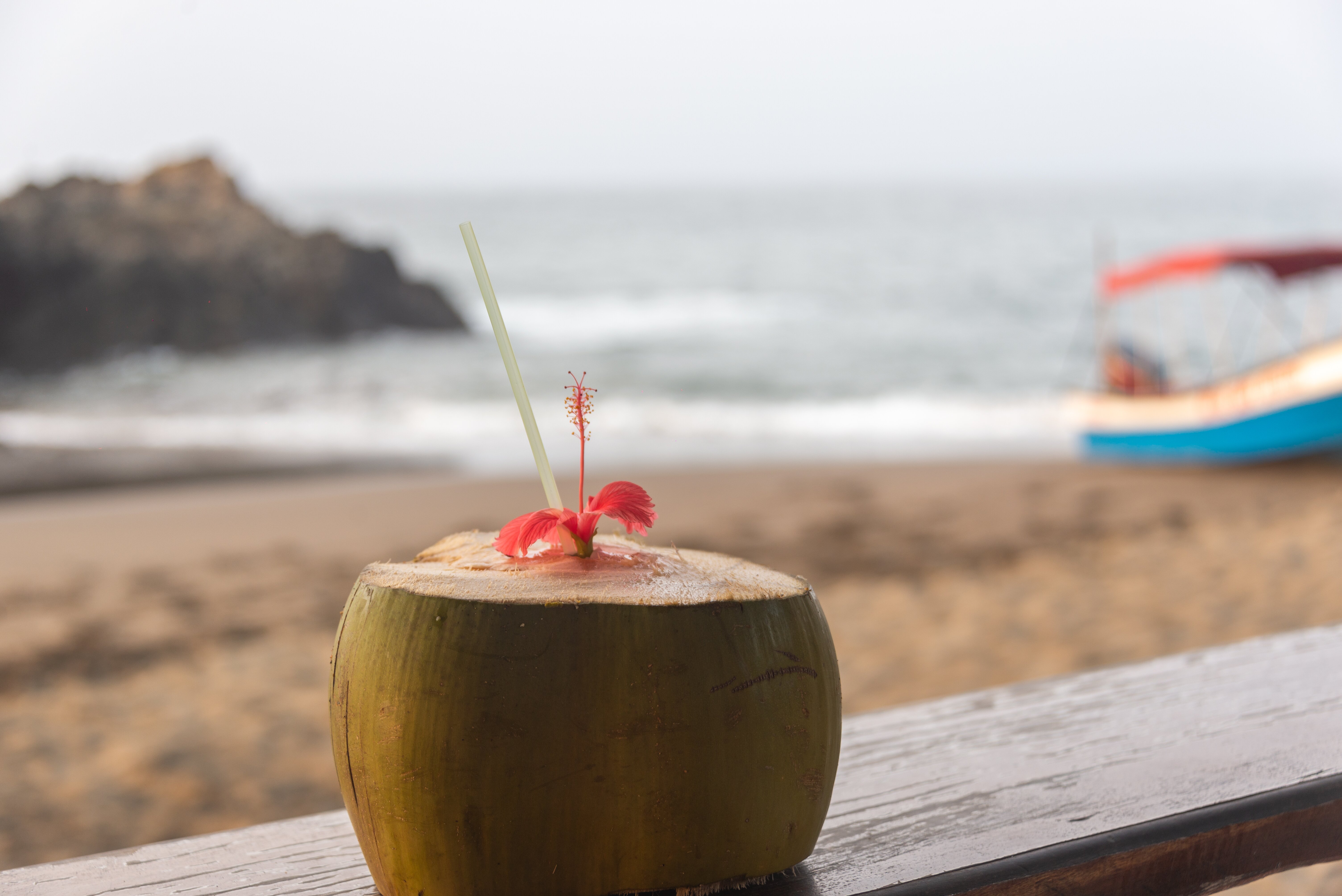 Hotel Nautilos Guachalito Nuqui-餐饮