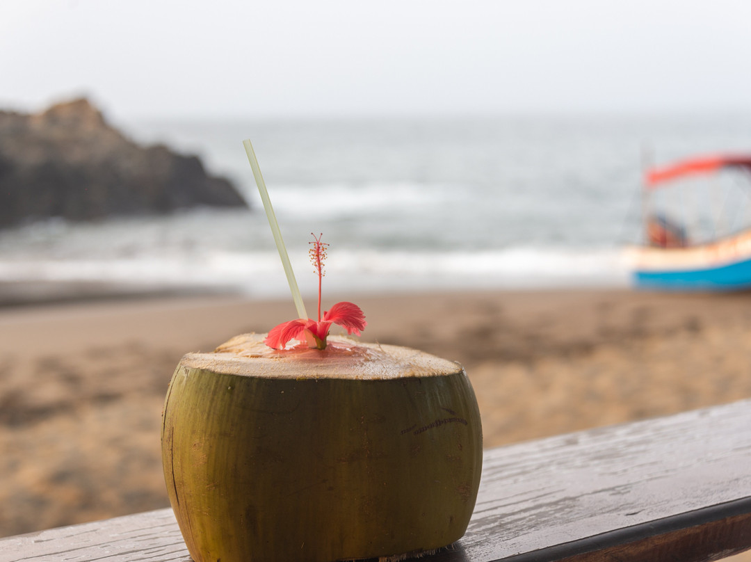 Hotel Nautilos Guachalito Nuqui主图