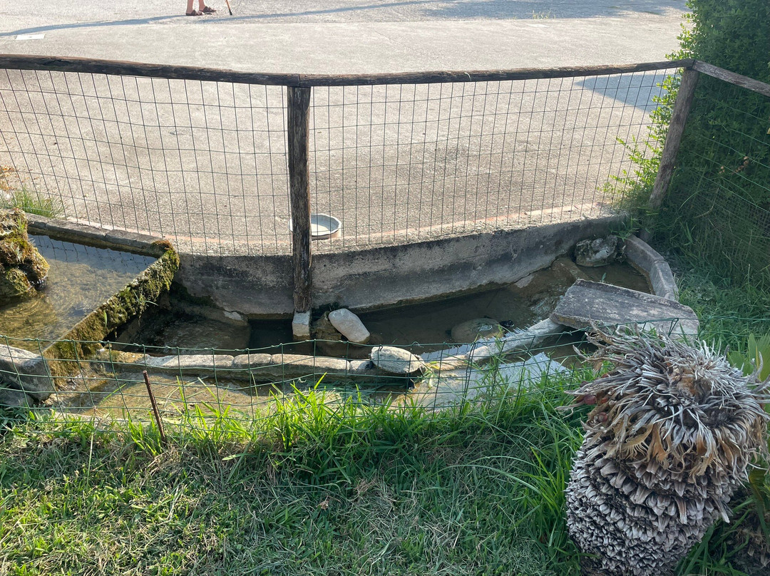 Country House Jamm Ja主图