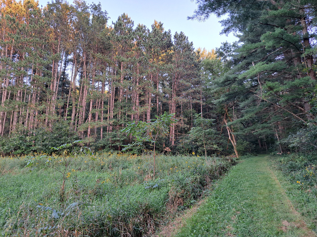 Donald County Park景点图片