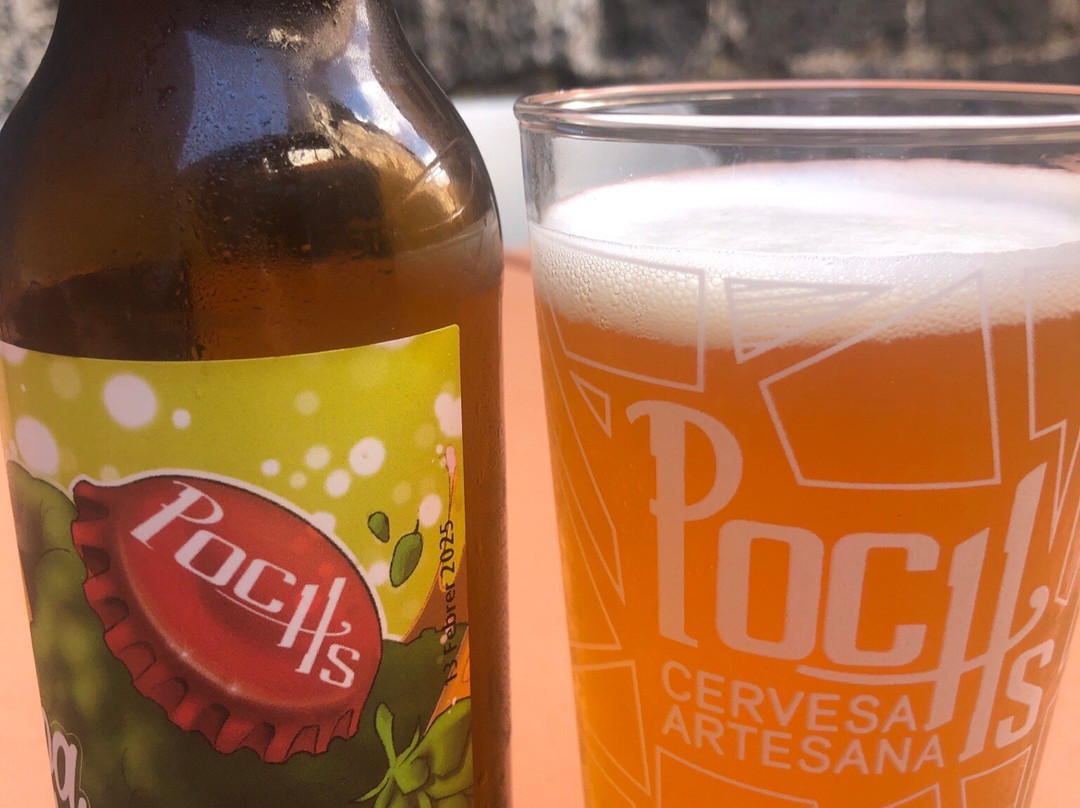 Poch's Microcerveceria景点图片