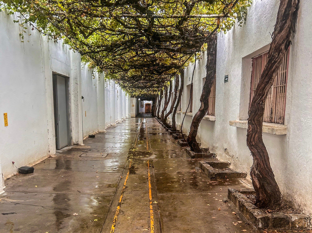 Casa Madero-Parras de la Fuente必去景点