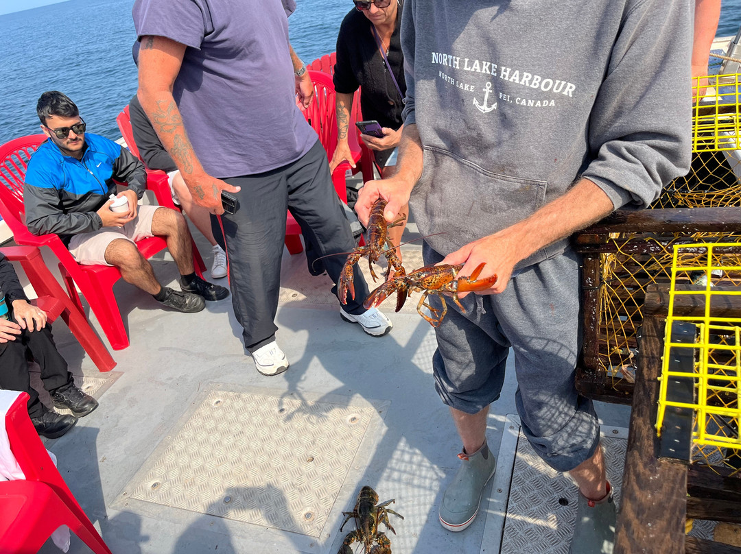 Wicked Sea Adventures景点图片