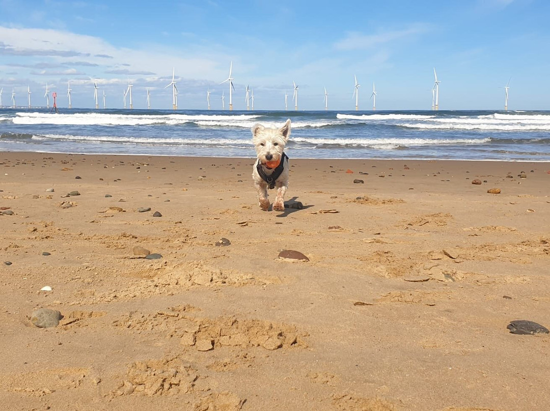 Redcar Beach-Redcar必去景点