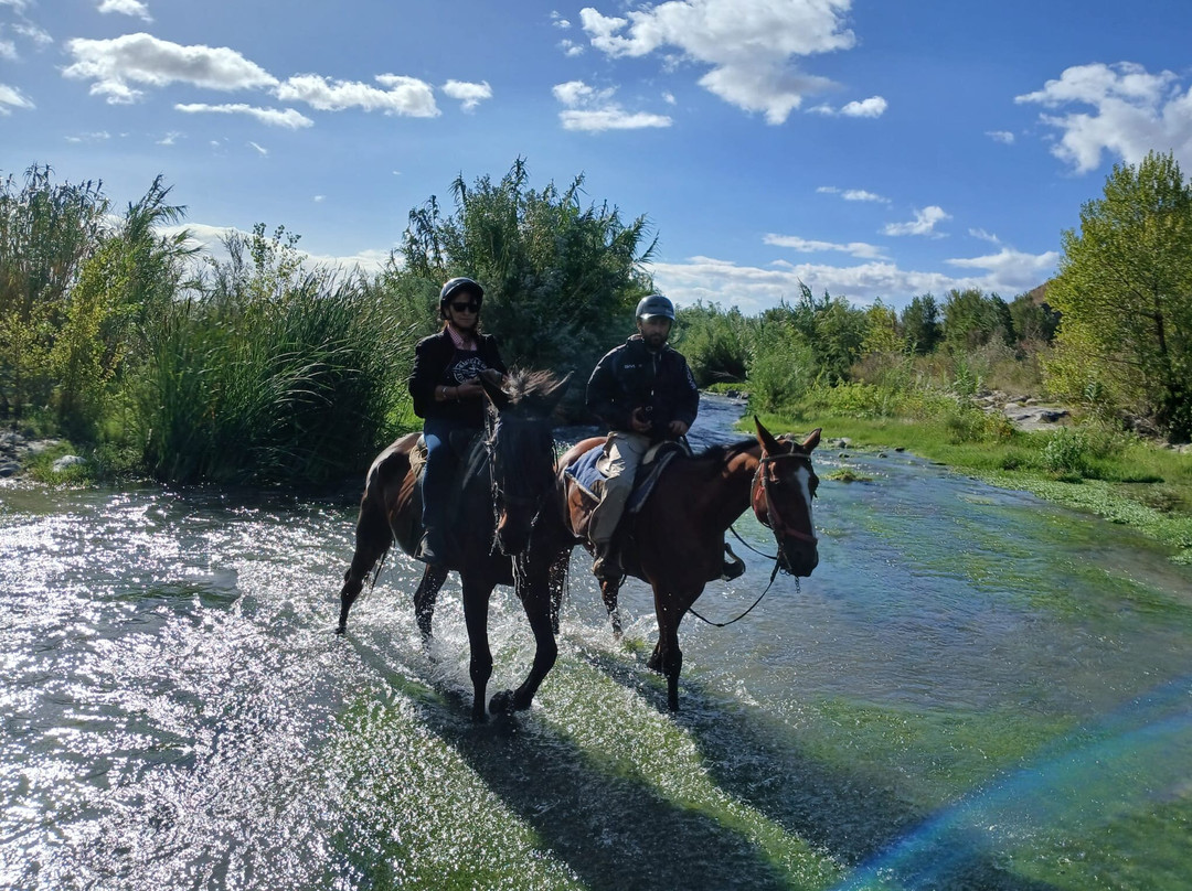 Sunshine Adventure Horses Power景点图片