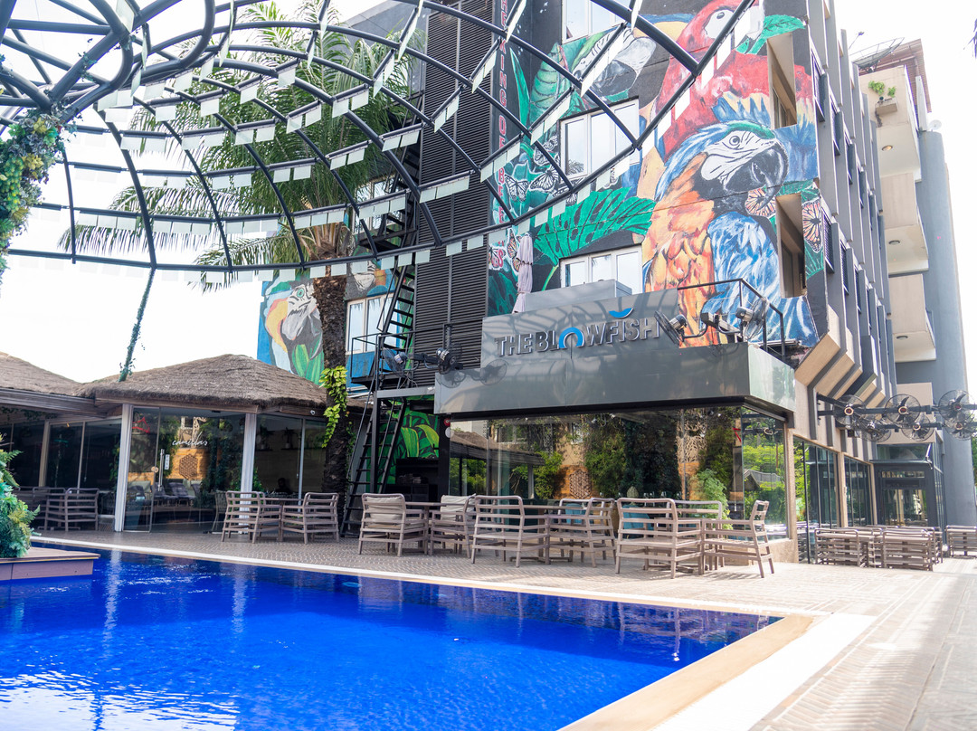 The Blowfish Hotel