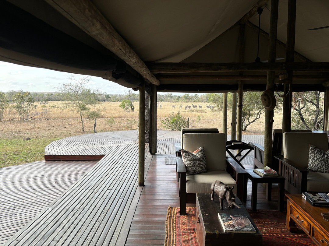 丛林漫步之旅酒店主图