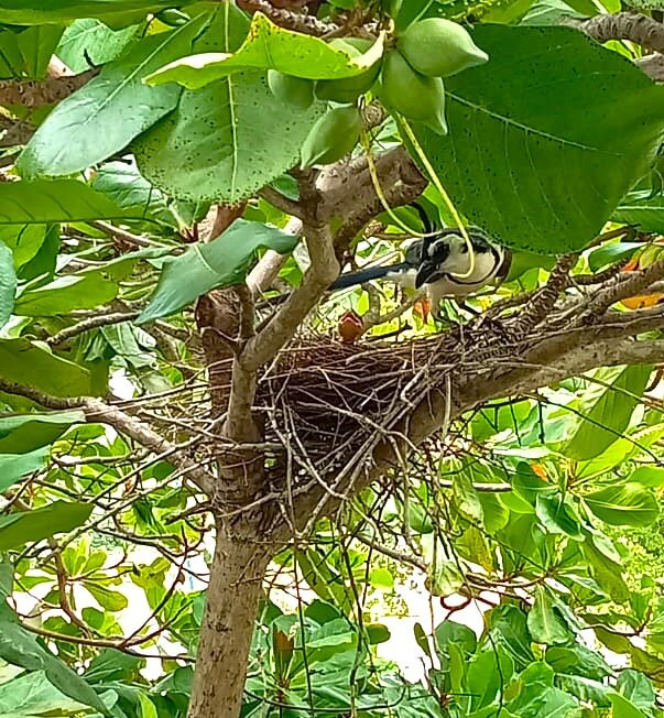 Yuu-Lee Casa Bendita Huatulco主图