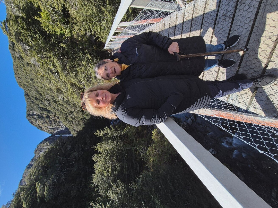 Aroha Luxury New Zealand Tours-Tokoroa必去景点