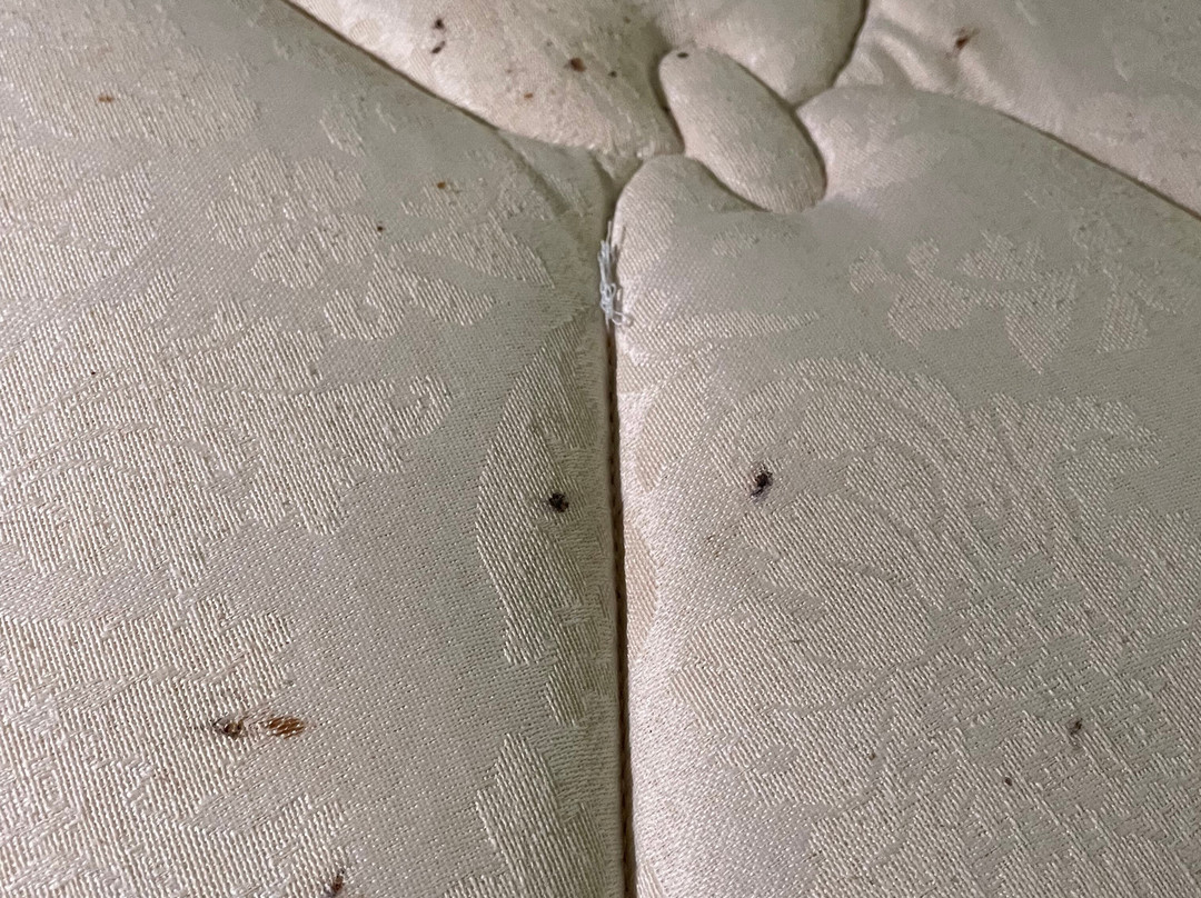 Baymont by Wyndham Minot主图