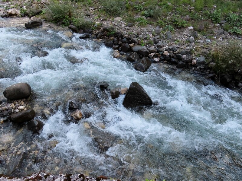 Torrente Fiorentina-Selva di Cadore必去景点