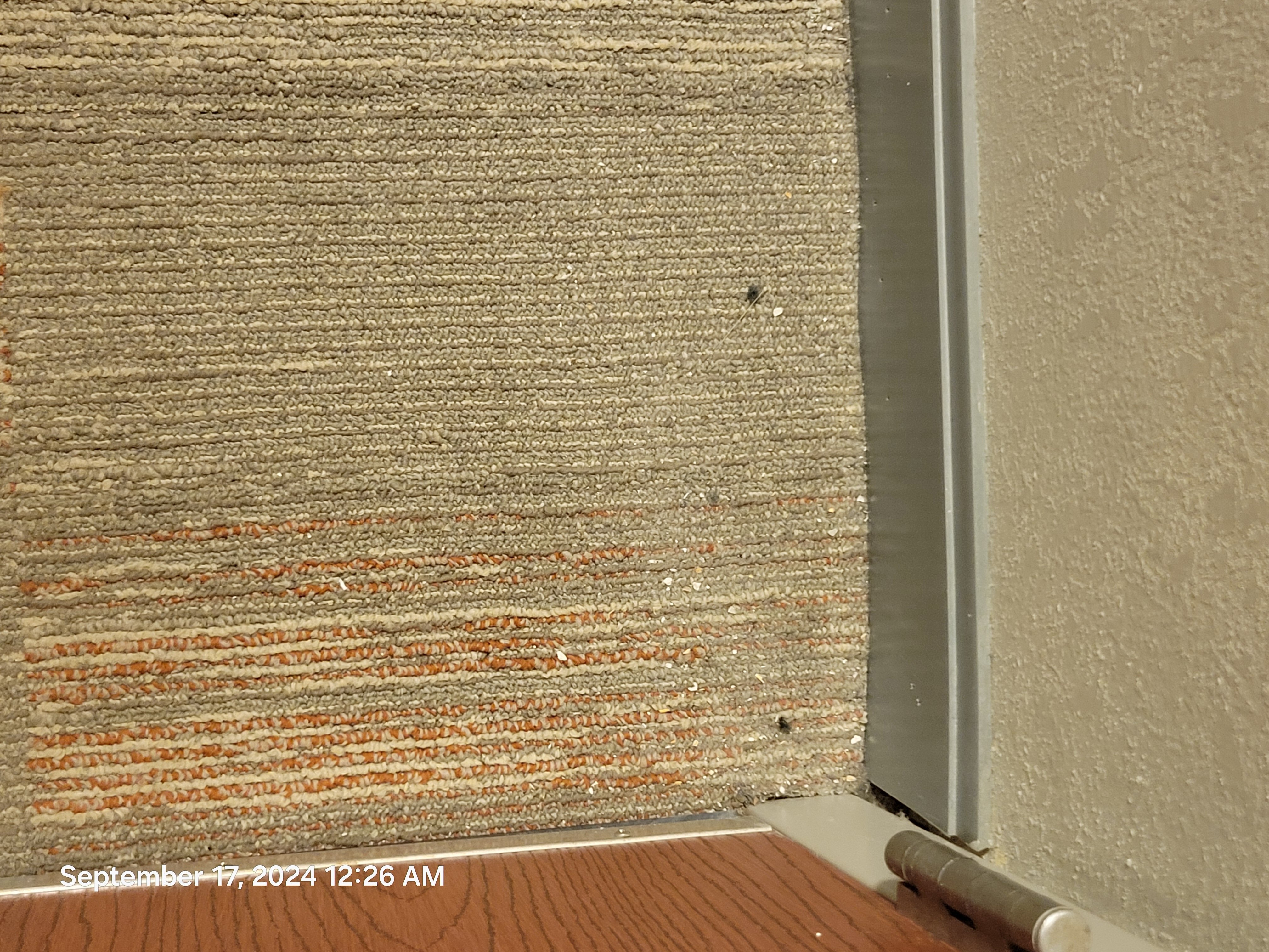 Hampton Inn & Suites St. Louis-Edwardsville-客卧