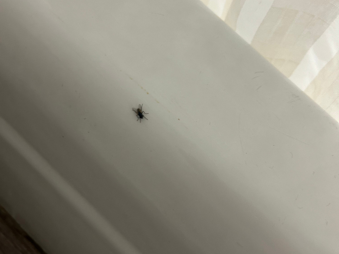 Days Inn by Wyndham North Platte主图