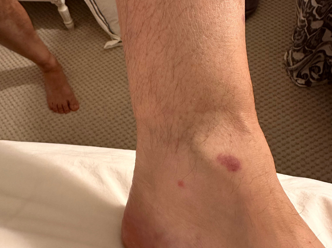 Le Méridien St. Louis Clayton主图