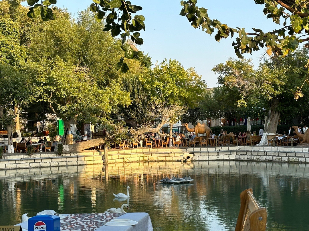 来比哈斯-布哈拉必去景点