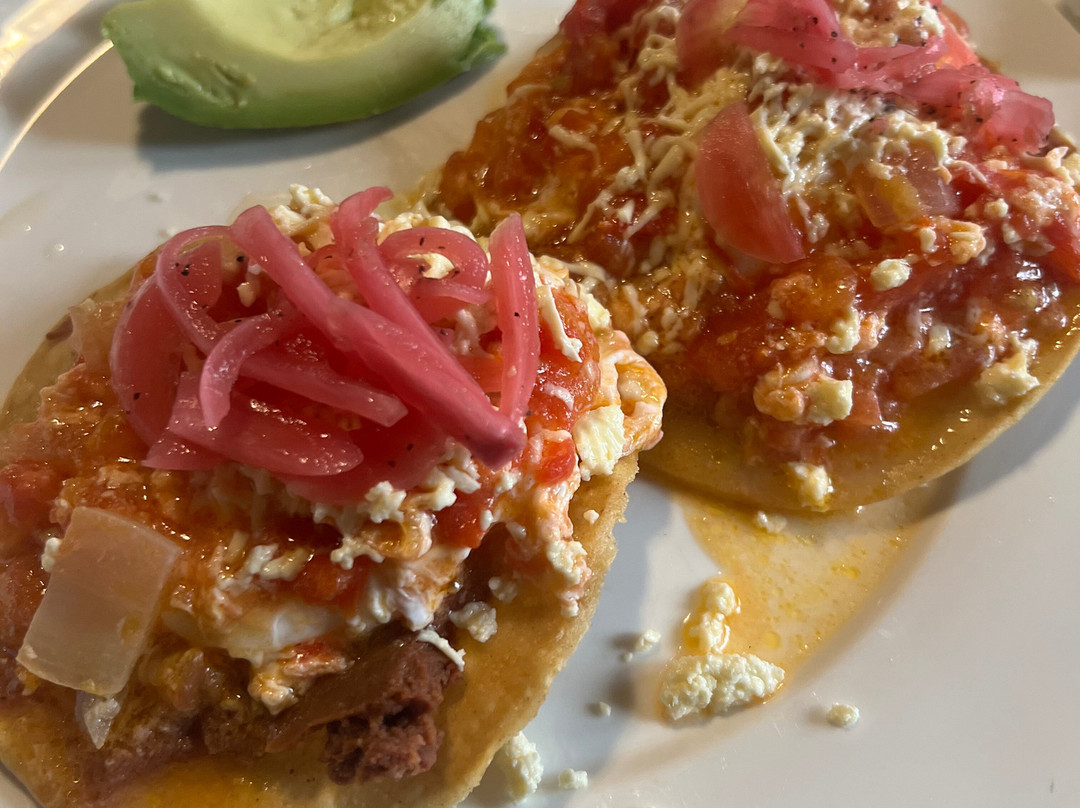 Hotel Casa Roland San Jose主图