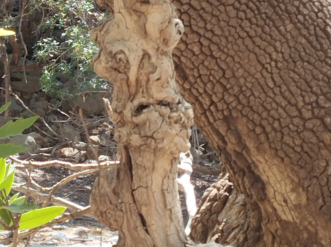 Aposelemis canyon景点图片