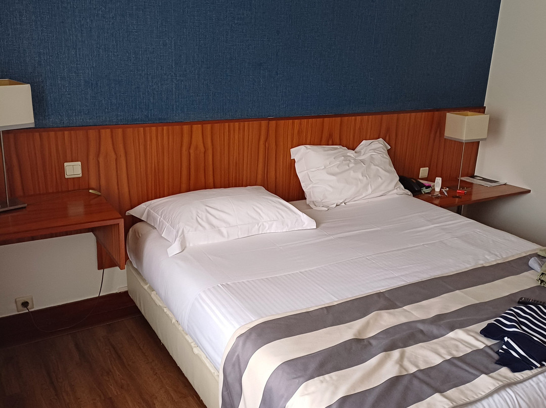 Hotel Villa Garden Braga主图