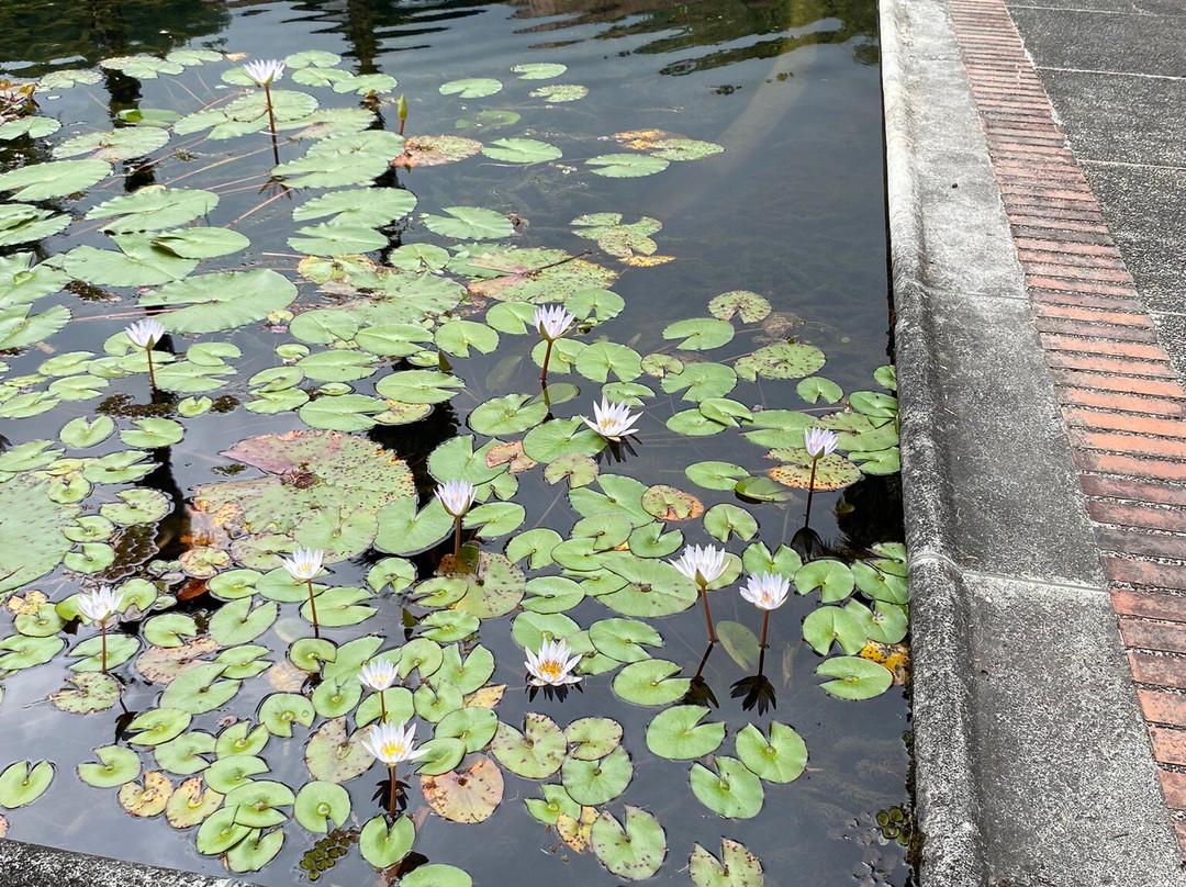 Recinto del Pensamiento-Manizales必去景点