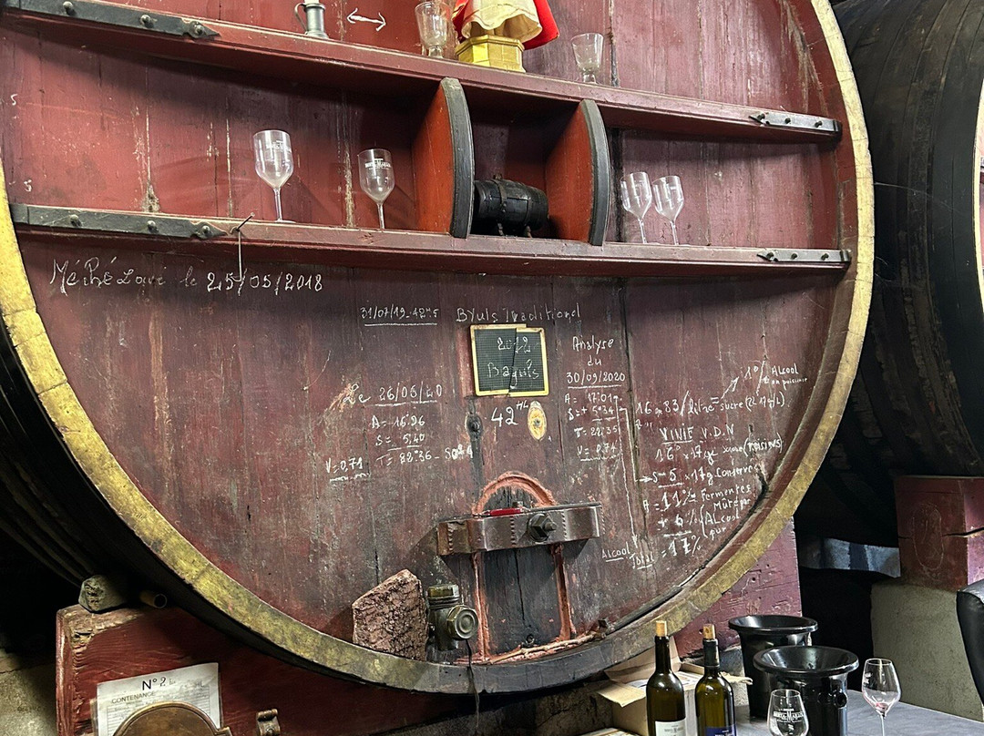 Domaine Berta Maillol景点图片
