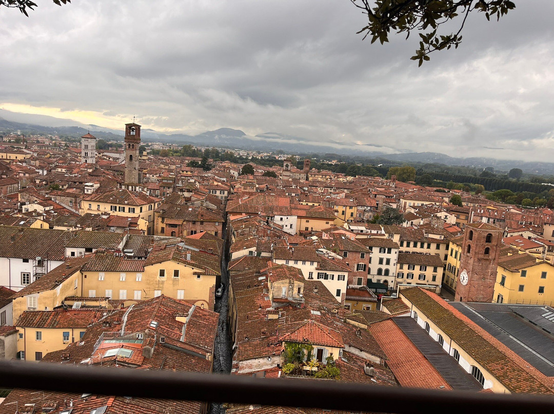 Lucca Info&Guide-卢卡必去景点