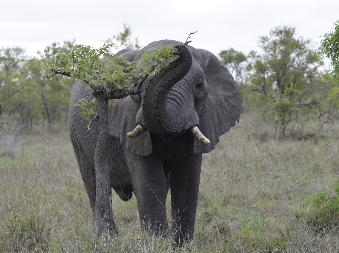 L'œil Sauvage - Wildlife Experience-霍德斯普鲁特必去景点