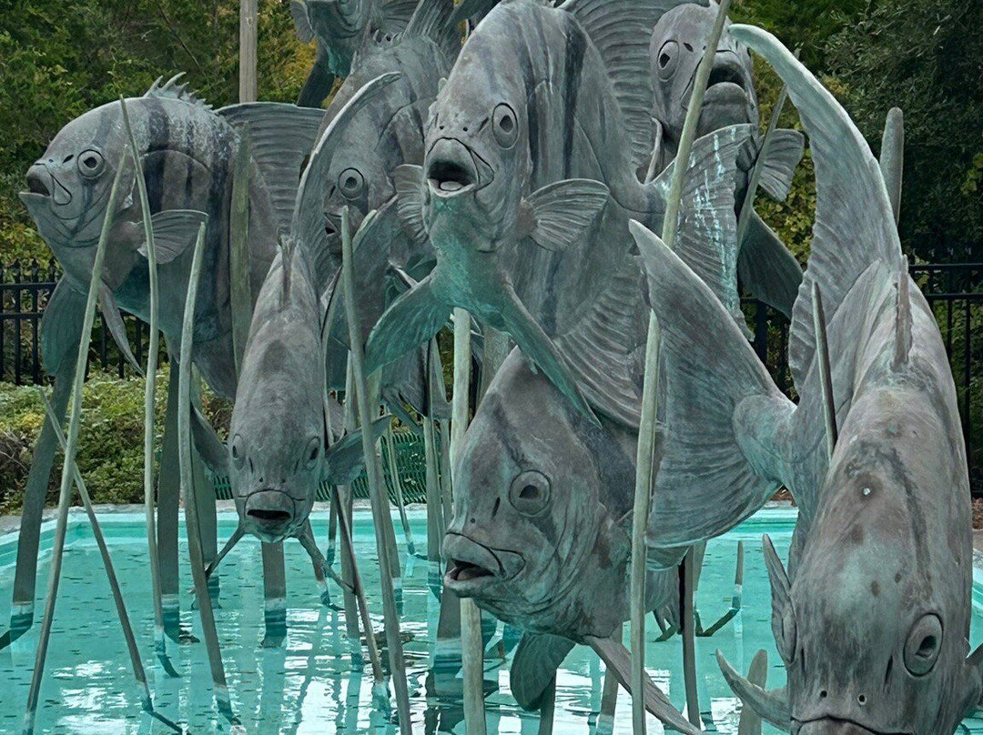 North Carolina Aquarium at Fort Fisher景点图片