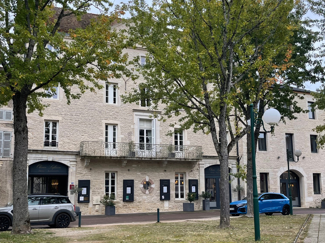 奥利维尔勒拉夫住宅酒店主图