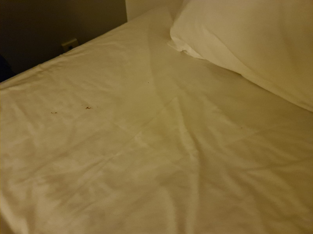 Broadway Park Hotel主图