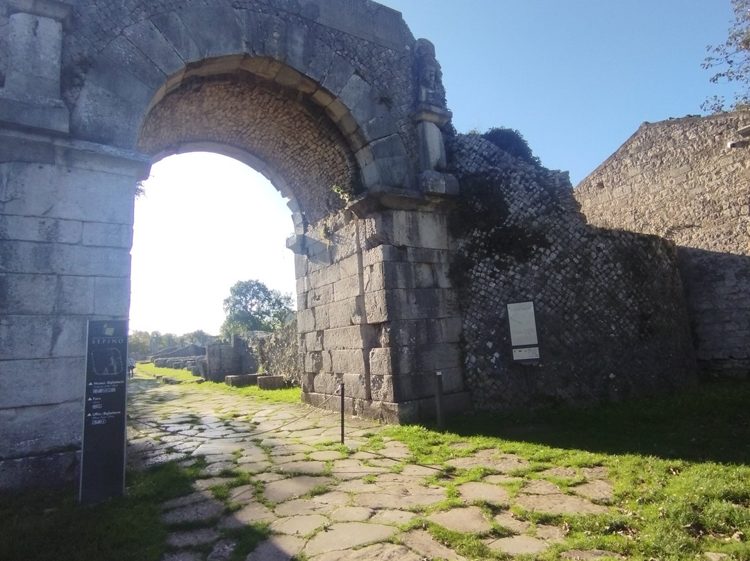 Museo Sannitico-坎波巴索必去景点