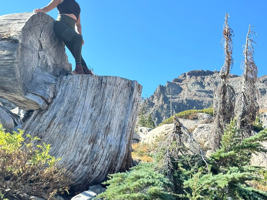 Palisades Tahoe Lodge主图