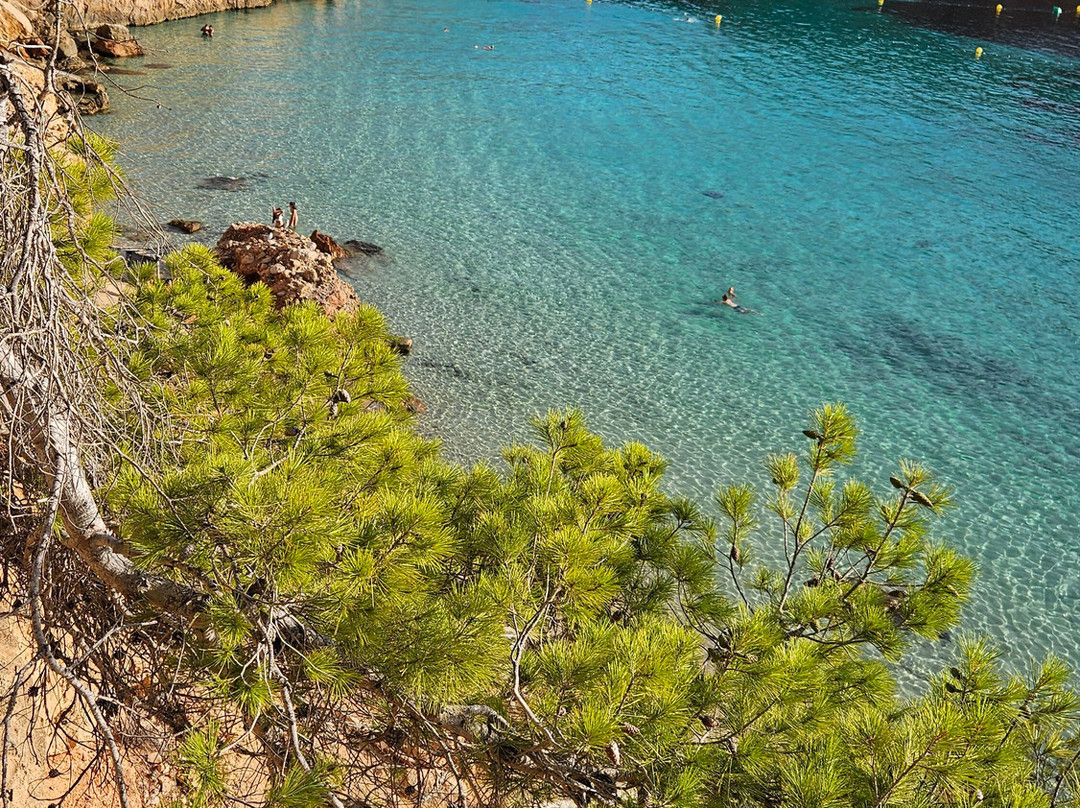 Cala Saladeta景点图片