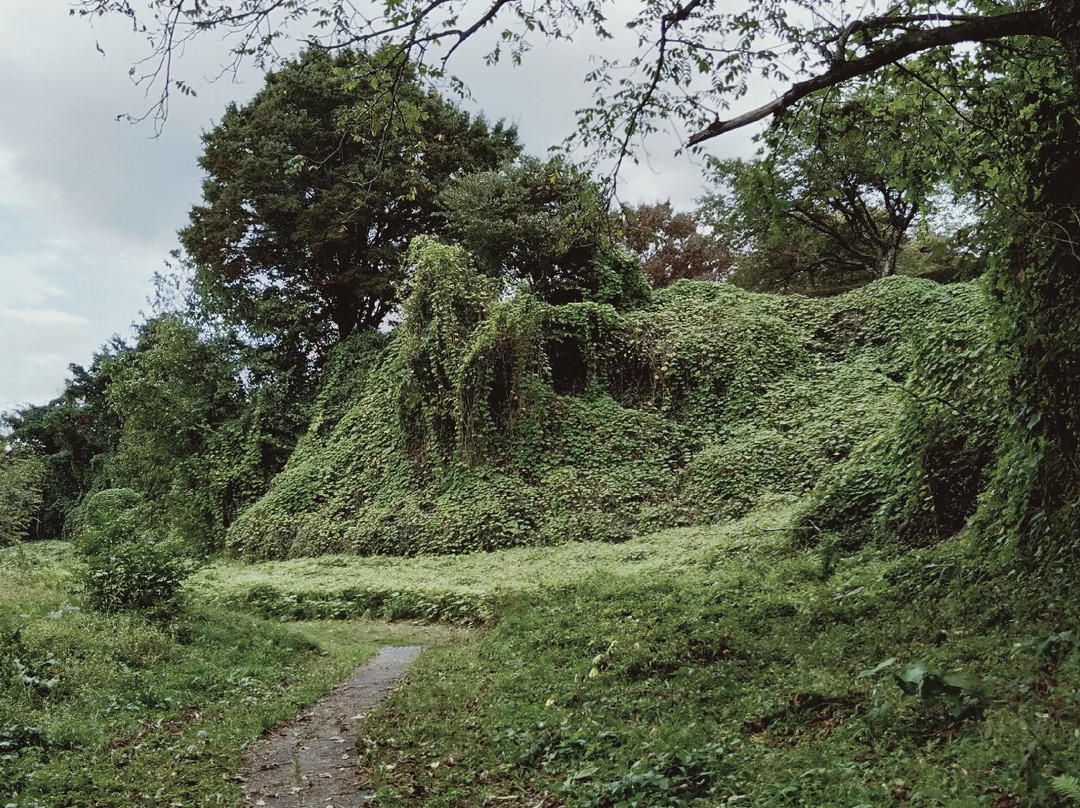 Nohe Castle Ruins-二户市必去景点