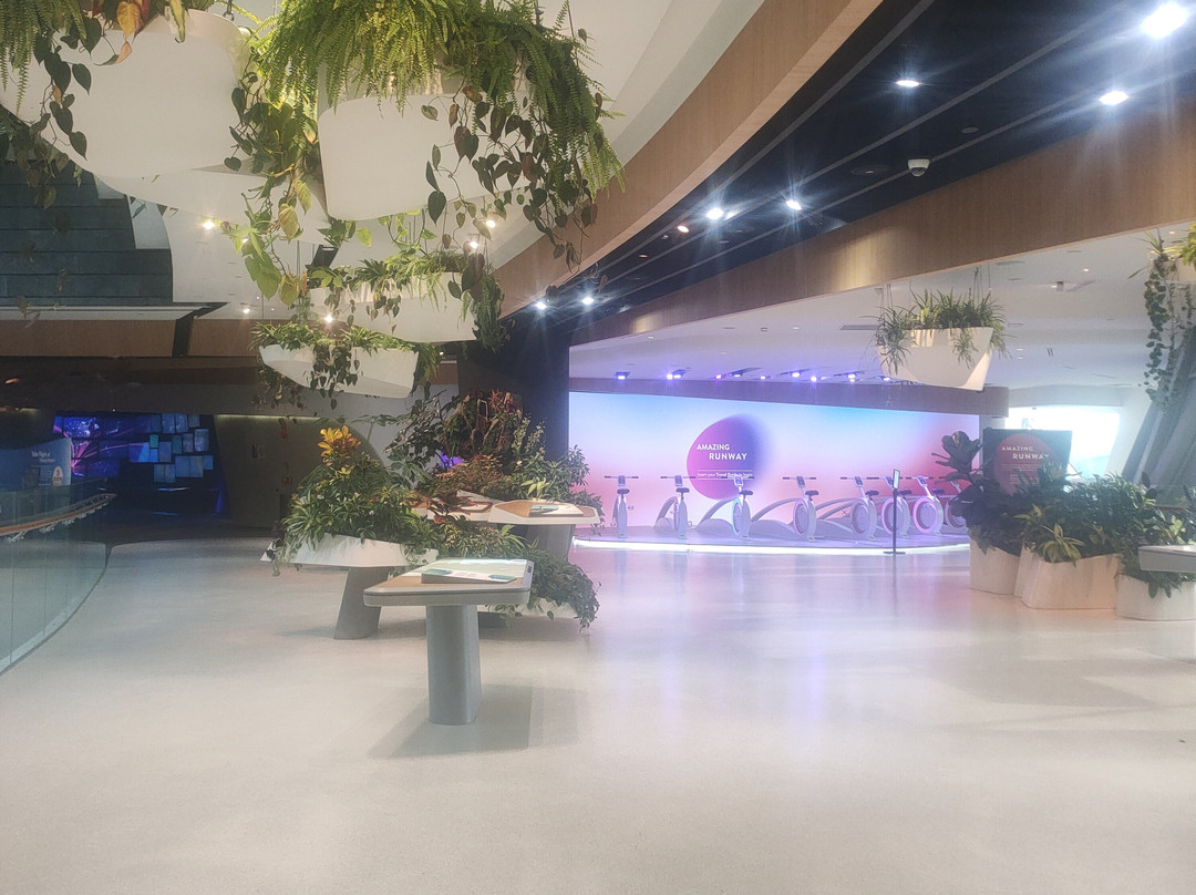 Changi Experience Studio-新加坡必去景点